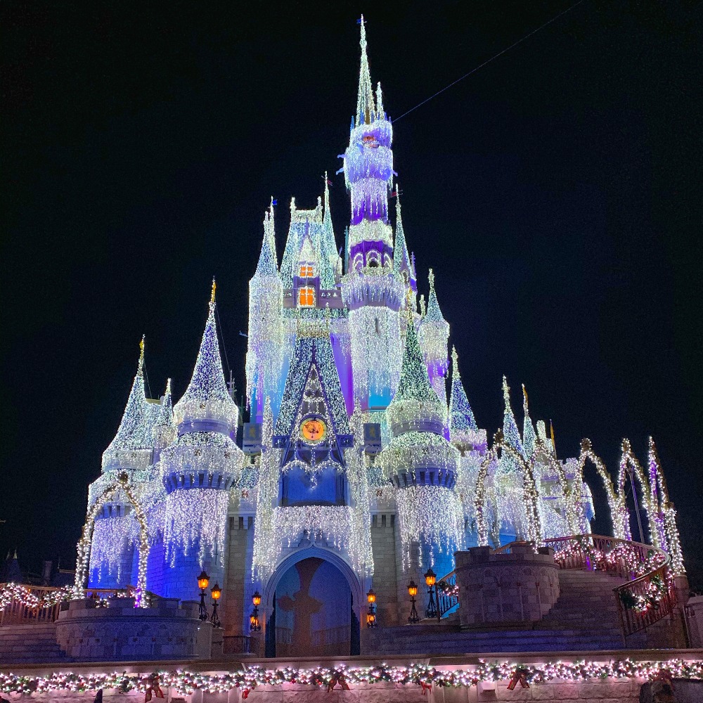 Meet your Posher, Lilly